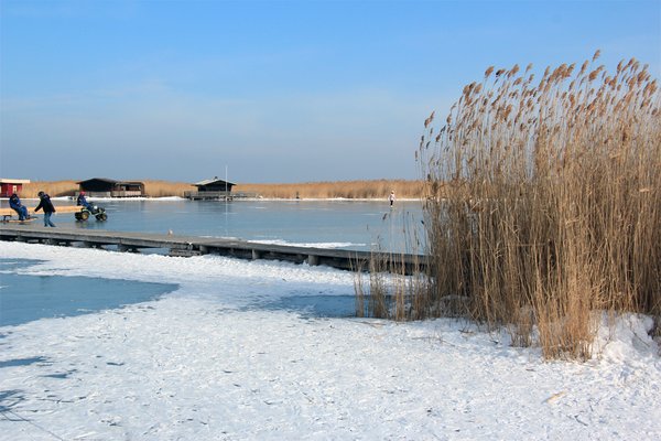 Bootshafen in Rust am Neusiedler See mit gefrorener Eisdecke