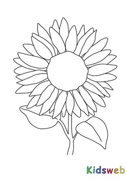 Malvorlage: Sonnenblume
