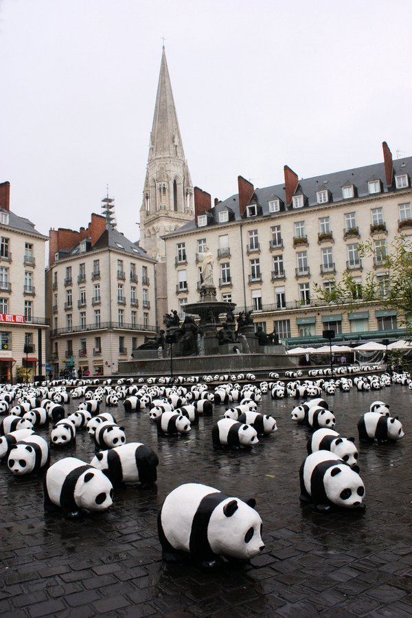 viele WWF Pandas