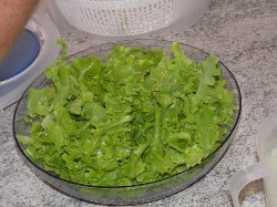 Grüner Salat Arbeitsschritt 2