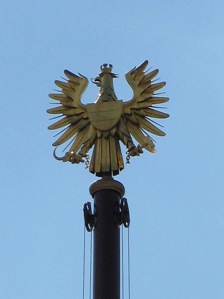 Der Österreichische Bundesadler